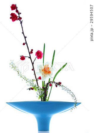 桃と水仙とユキヤナギの生花 桃と水仙とユキヤナギの生花 29594507