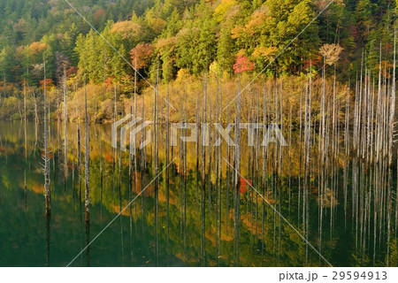 長野県王滝村の自然湖（秋） 29594913