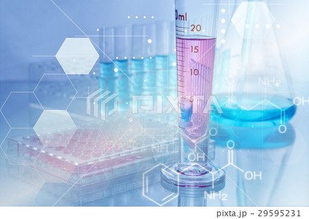 研究イメージ 29595231