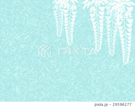 和紙に藤の花 和紙に藤の花 29596277