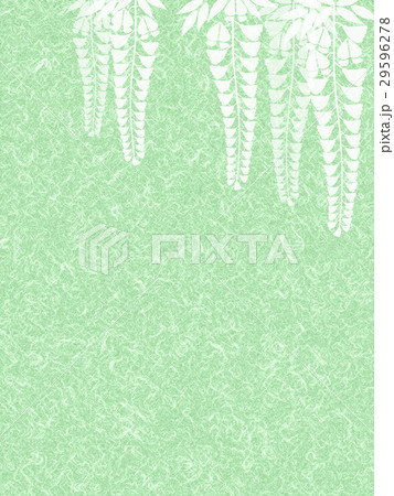 和紙に藤の花 29596278