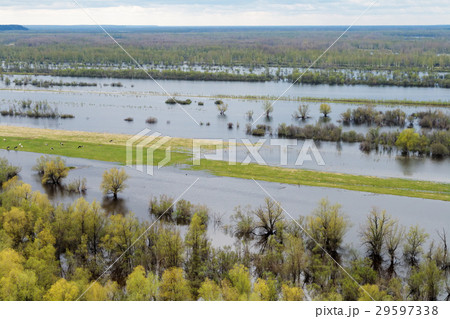 Spring flood on the Siberian river 29597338