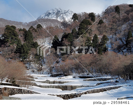 大山寺からの春の大山北壁　大山北壁　元谷からの大山 29598461