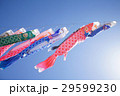 こいのぼり　こどもの日　端午の節句　祝日　 29599230