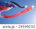 こいのぼり　こどもの日　端午の節句　祝日　 29599232