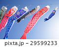 こいのぼり　こどもの日　端午の節句　祝日　 29599233