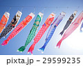 こいのぼり　こどもの日　端午の節句　祝日　 29599235