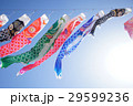 こいのぼり　こどもの日　端午の節句　祝日　 29599236