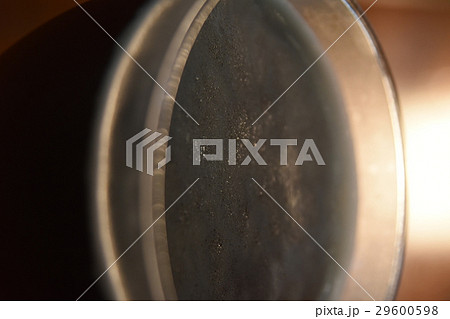 酒 お酒 アルコール 29600598