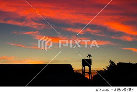 Water Tower Tree 29600797