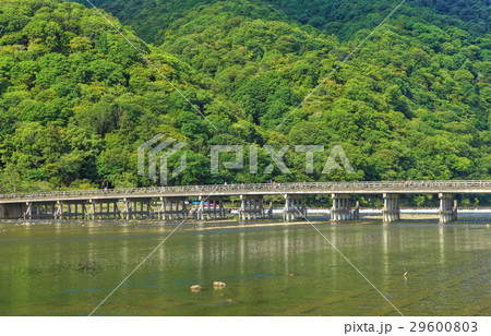 万緑の嵐山渡月橋 29600803