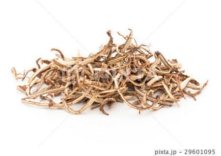 フィンガールート（クラチャイ）: Fingerroot (Krachai) 29601095