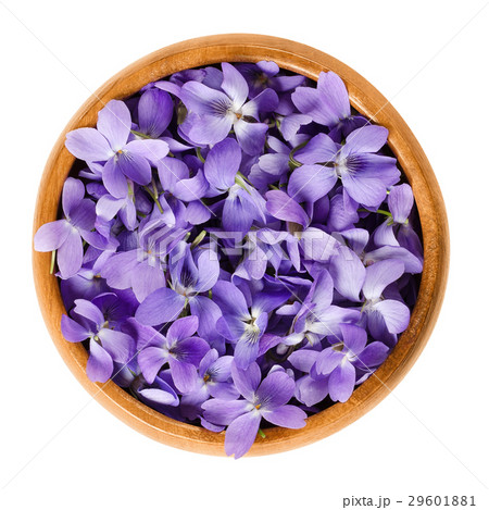 Wild violet flowers in wooden bowl over white 29601881