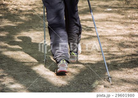 Man walking cross country and trail in forest 29601980