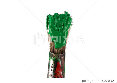 Brush with green paint 29602032
