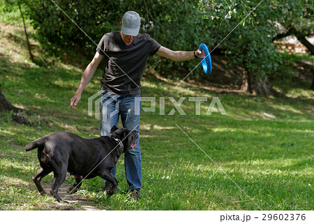 Man playing with his dog 29602376