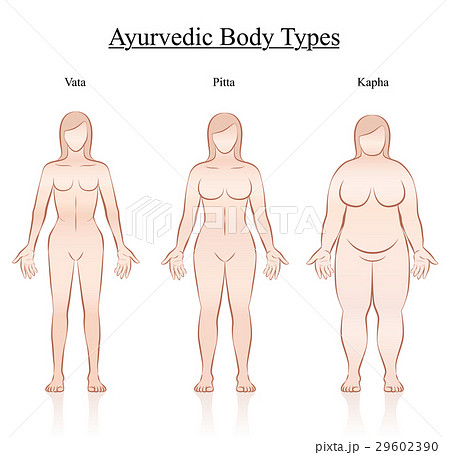 Ayurvedic Body Constitution Types Women 29602390