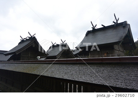縁結びの神「出雲大社」 29602710