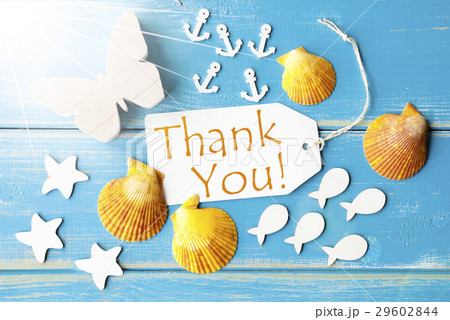 Sunny Summer Greeting Card With Thank You Sunny Summer Greeting Card With Thank You 29602844