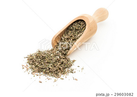 イヌハッカ（キャットニップ）：Catnip 29603082