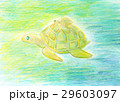 ウミガメ 親子 イラスト 水彩画 ウミガメ 親子 イラスト 水彩画 29603097