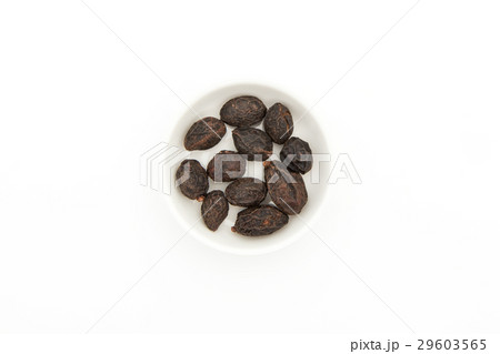 ノコギリヤシの実（ソーパルメット）：Saw Palmetto Berry Whole 29603565