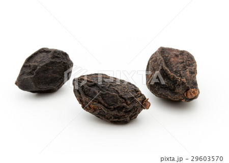 ノコギリヤシの実(ソーパルメット):Saw Palmetto Berry Whole ノコギリヤシの実(ソーパルメット):Saw Palmetto Berry Whole 29603570