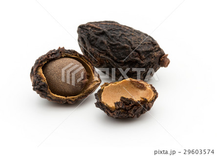 ノコギリヤシの実（ソーパルメット）：Saw Palmetto Berry Whole 29603574