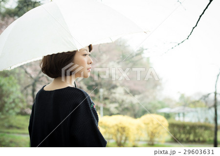 雨　傘　女性 29603631