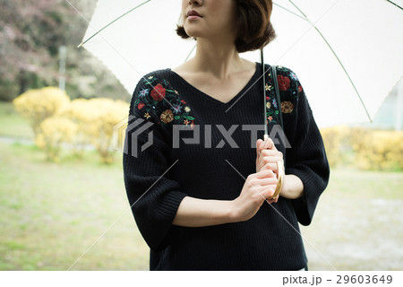 雨 傘 女性 雨 傘 女性 29603649