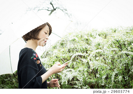 雨 傘 女性 雨 傘 女性 29603774