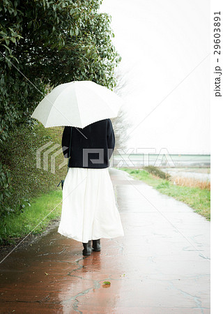 雨 傘 女性の写真素材