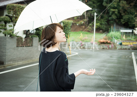 雨 傘 女性の写真素材