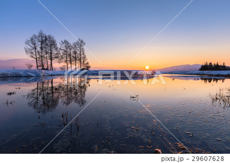 新潟県長岡市　雪解けの進む棚田の日の出 29607628