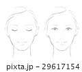 女性の顔 ライン 29617154