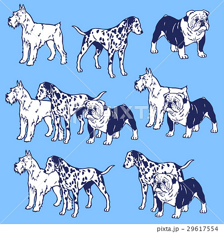 犬のイラスト素材 29617554