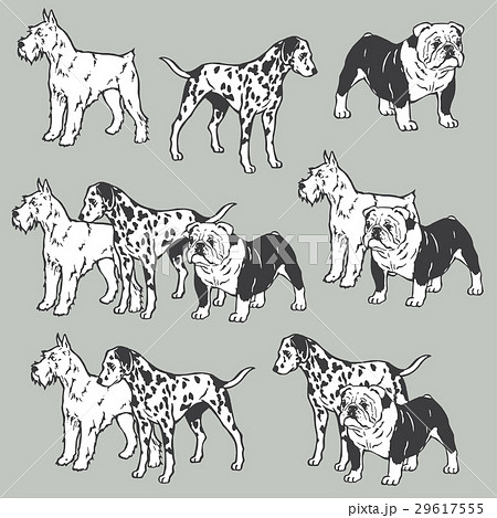 犬のイラスト素材 29617555