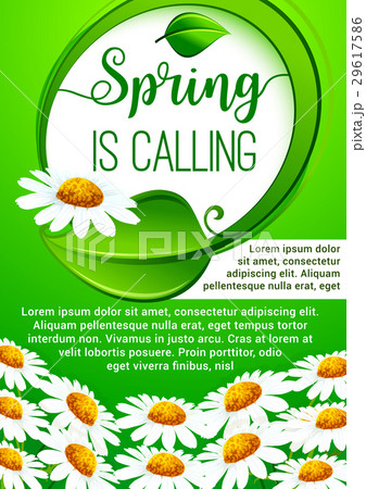 Spring holidays floral banner with daisy flowers 29617586