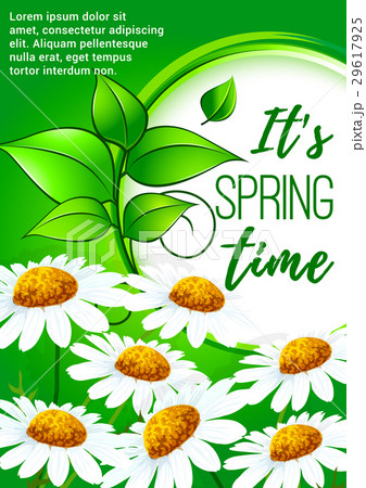 Spring poster design with daisy flowers Spring poster design with daisy flowers 29617925