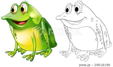 Animal outline for frog sitting Animal outline for frog sitting 29618196