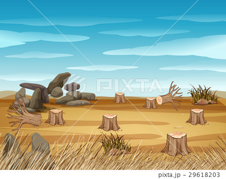 Field with stump trees Field with stump trees 29618203