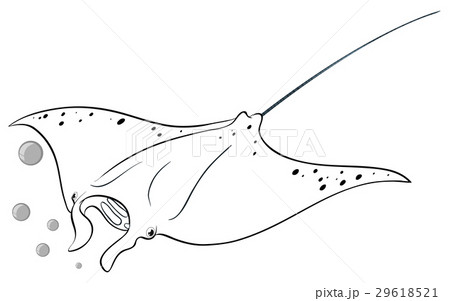 Drafting animal for stingray 29618521