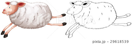 Doodles drafting animal for sheep Doodles drafting animal for sheep 29618539