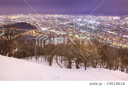 札幌の冬景色 29618628