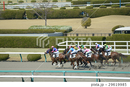 阪神競馬 29619985