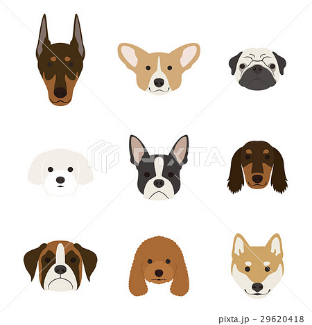 Dog Face Stock Illustrations – 123,765 Dog Face Stock