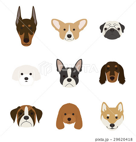 Dog's face set - Stock Illustration [29620418] - PIXTA