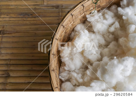 White cotton from dry kapok fruit in bucket. White cotton from dry kapok fruit in bucket. 29620584