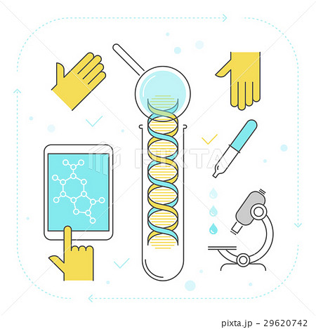 Process Of Dna Research Contour Vector Conceptのイラスト素材