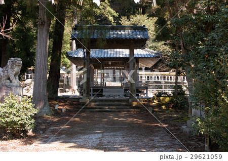 知井八幡神社 知井八幡神社 29621059